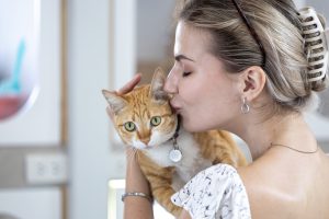 ד"ר רוברט שמשיאן, וטרינר מומלץ בבאר שבע